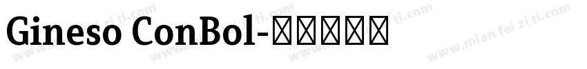 Gineso ConBol字体转换